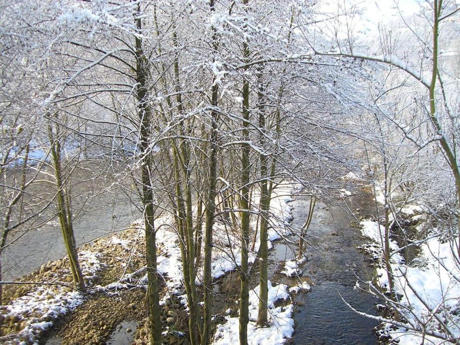 Apartamento Rural La Aldea Perdida .Vv 1434-As Pola de Laviana Dış mekan fotoğraf